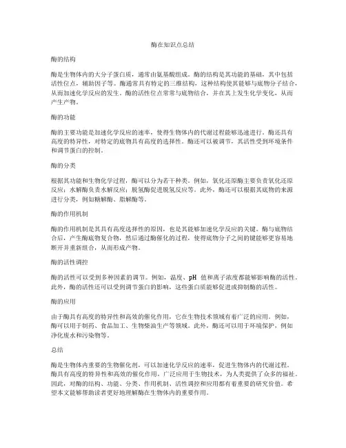 酶在知识点总结
