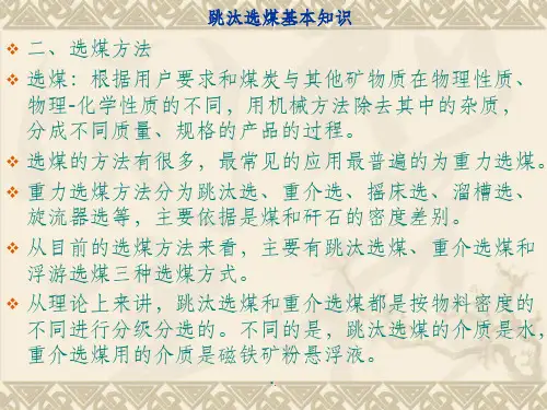 跳汰选煤基本知识