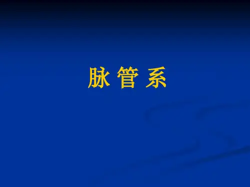 《脉管系统(心血管、免疫)》课件