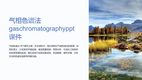 气相色谱法gaschromatography课件