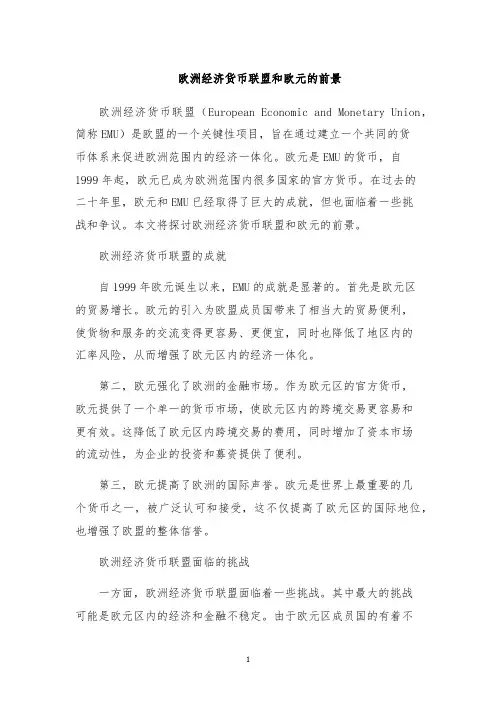 欧洲经济货币联盟和欧元的前景