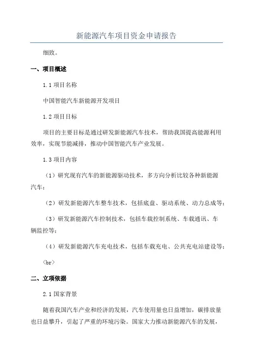 新能源汽车项目资金申请报告