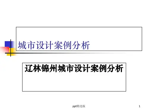 城市设计案例分析ppt课件