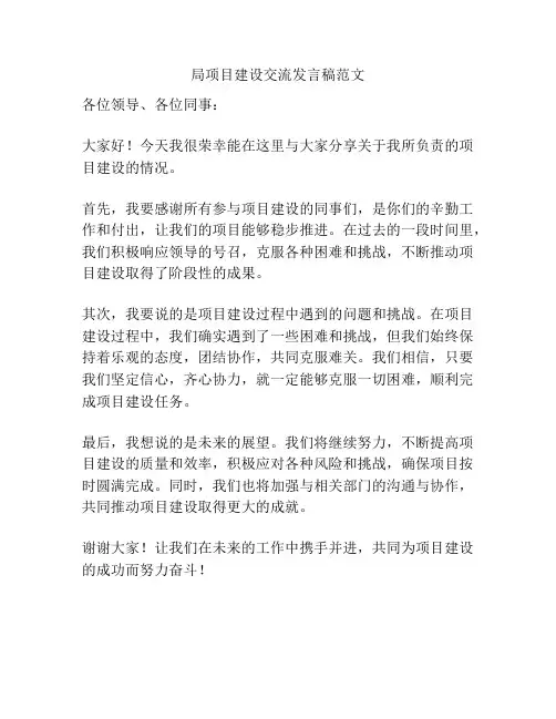 局项目建设交流发言稿范文