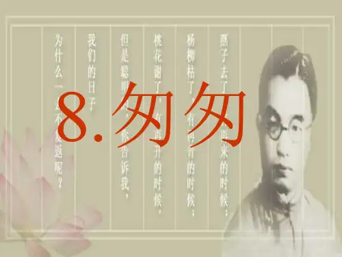 部编版教材《匆匆》ppt课件