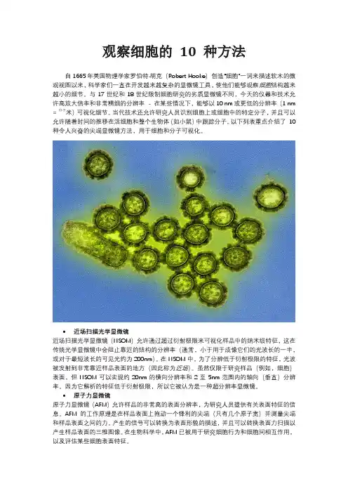 观察细胞的10种方法