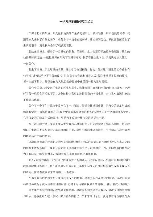 一次难忘的田间劳动的经历