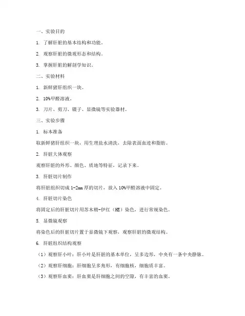 肝构造实验报告