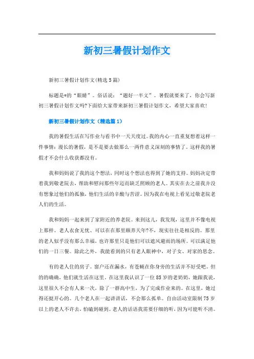 新初三暑假计划作文