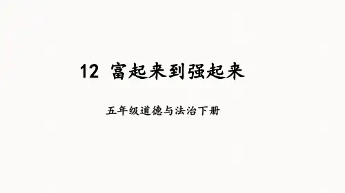 部编版道德与法治五年级下册《富起来到强起来》PPT课件