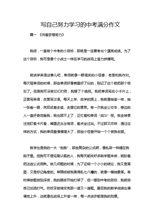 写自己努力学习的中考满分作文