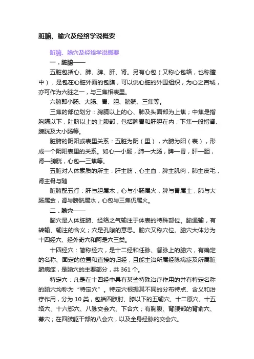 脏腑、腧穴及经络学说概要
