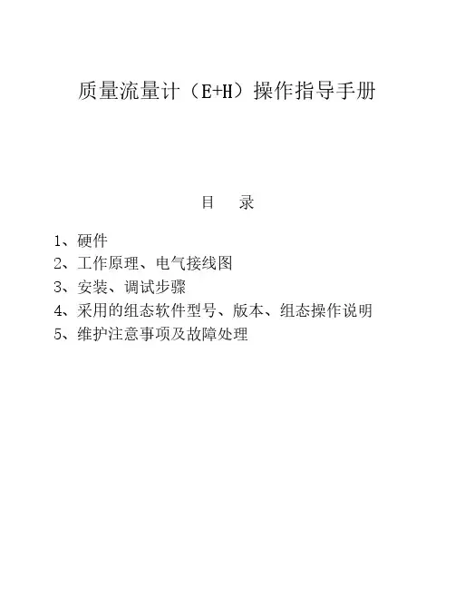 仪表手册-通用分册-质量流量计(E+H)