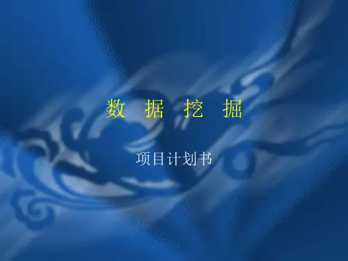 数据挖掘计划书