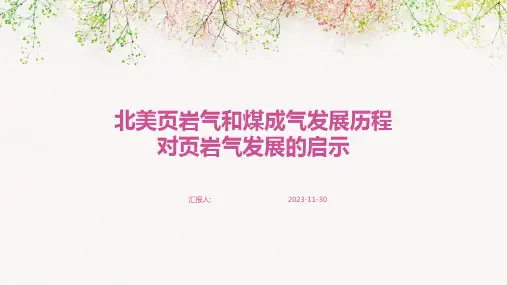北美页岩气和煤成气发展历程对页岩气发展的启示