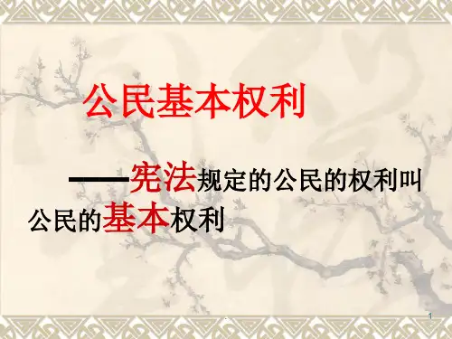 公民基本权利复习ppt课件