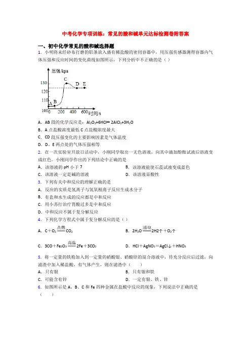 中考化学专项训练：常见的酸和碱单元达标检测卷附答案