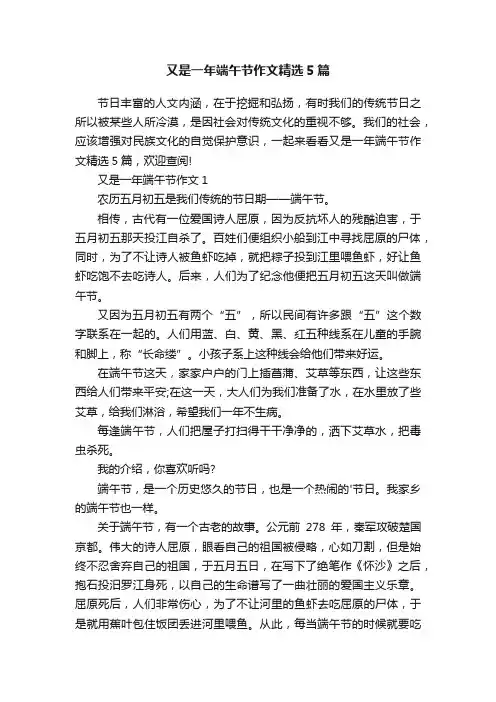 又是一年端午节作文精选5篇