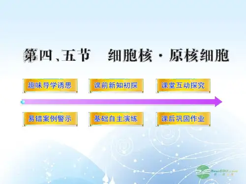 高中生物 2.4、5细胞核 原核细胞课件 浙科版必修1