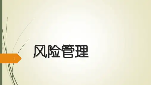 风险控制ppt课件