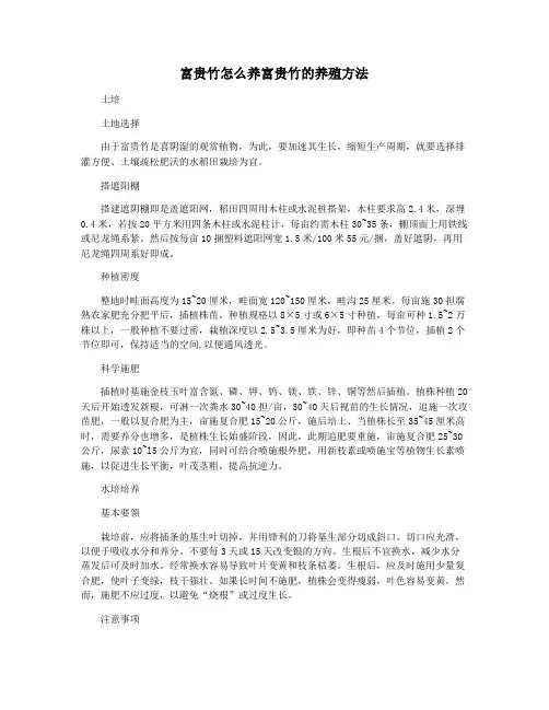 富贵竹怎么养富贵竹的养殖方法