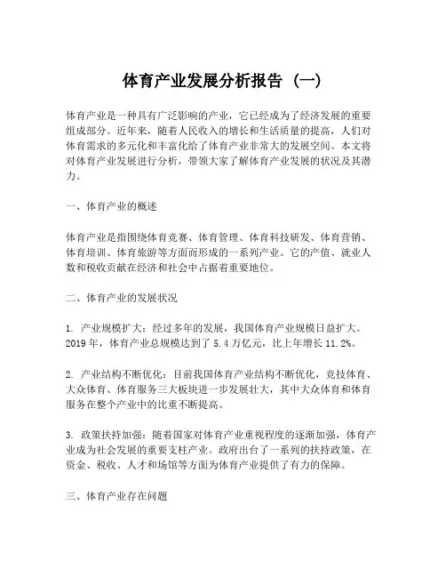 体育产业发展分析报告 (一)