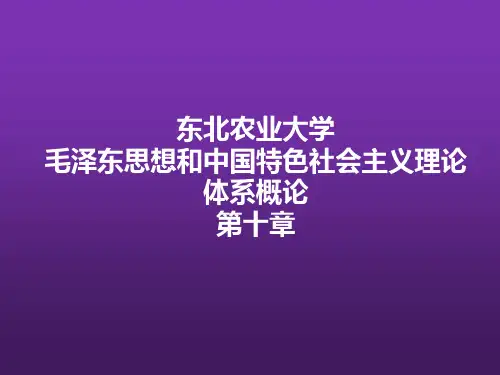 东北农业大学《毛泽东思想和中国特色社会主义理论体系概论》课件-第十章S