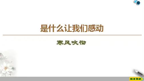 高中苏教版语文选修现代散文选读寒风吹彻课件PPT