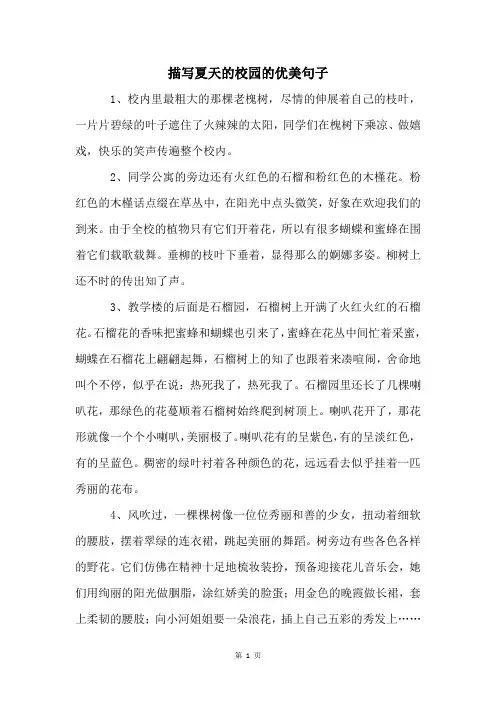 描写夏天的校园的优美句子