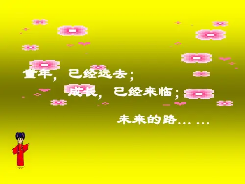 放飞理想主题班会课课件励志引导学生积极向上ppt