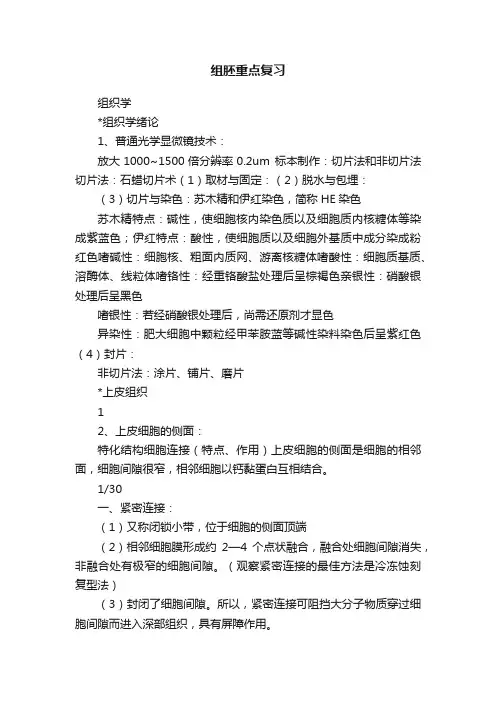 组胚重点复习
