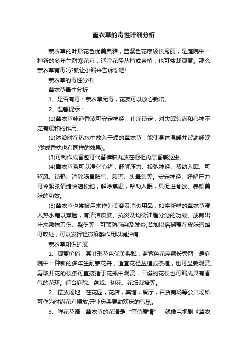 薰衣草的毒性详细分析