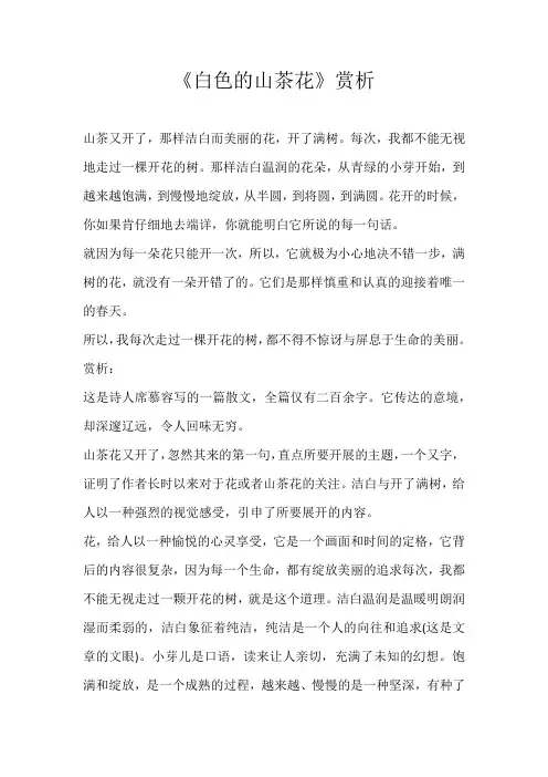 小学散文《白色的山茶花》赏析