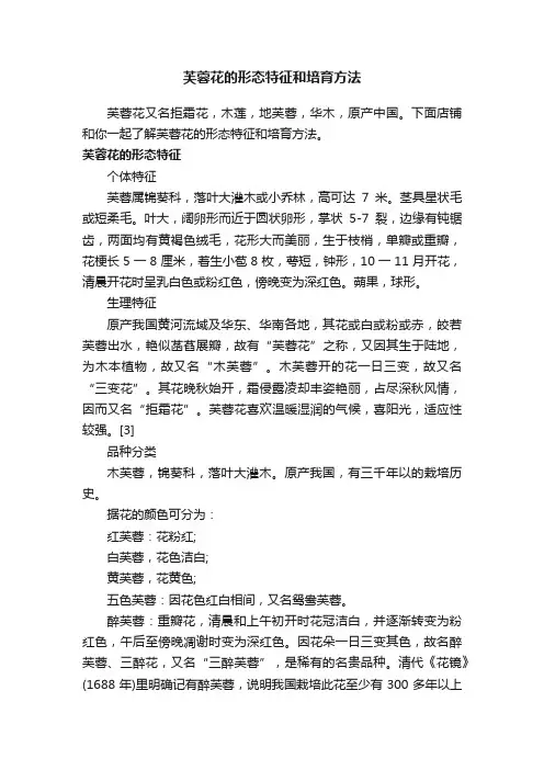 芙蓉花的形态特征和培育方法