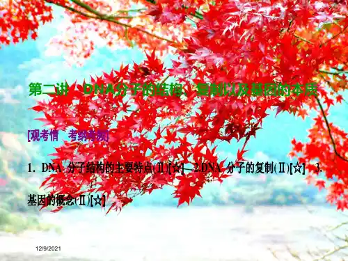 高考生物一轮复习 第六单元 遗传的分子基础 第二讲 dna分子的结构、复制以及基因的本质课件 