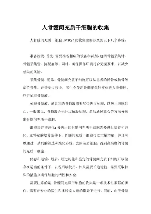人骨髓间充质干细胞的收集
