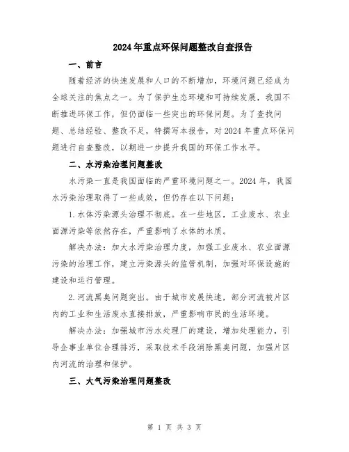 2024年重点环保问题整改自查报告