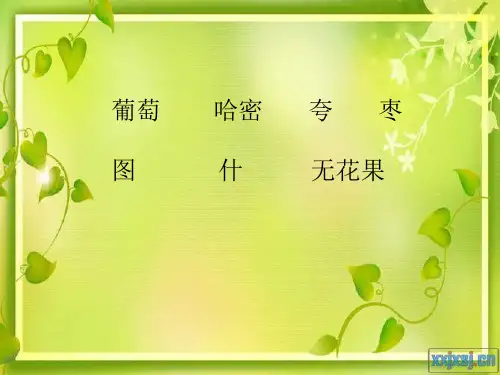 量词歌