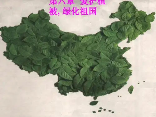 七年级生物第六章 爱护植被, 绿化祖国课件人教版