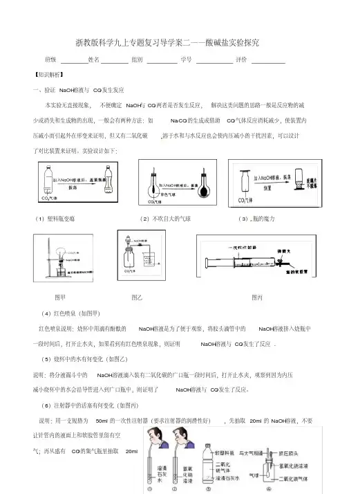 酸碱盐实验探究