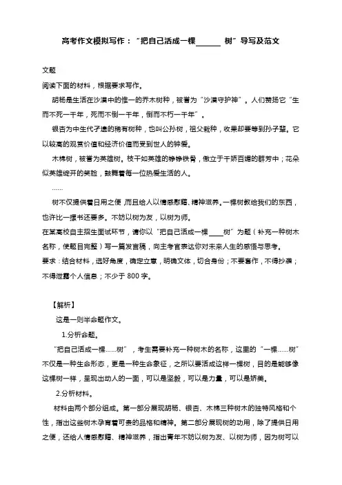 2024届高考作文模拟写作：“把自己活成一棵树”导写及范文