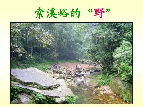 《索溪峪的“野”》