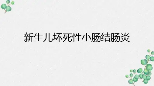 新生儿坏死性小肠结肠炎