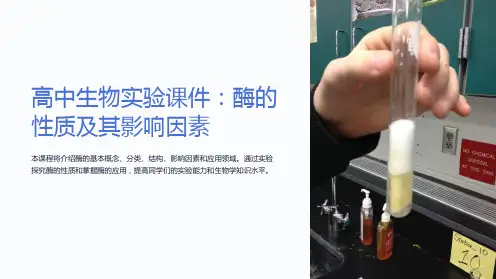 《高中生物实验课件：酶的性质及其影响因素》