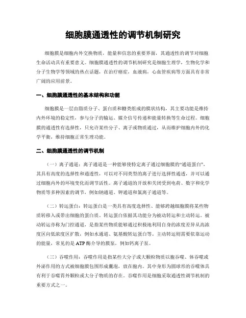 细胞膜通透性的调节机制研究
