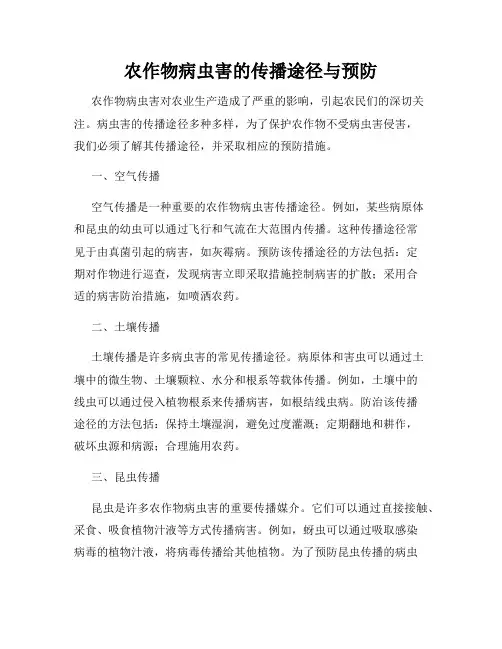 农作物病虫害的传播途径与预防