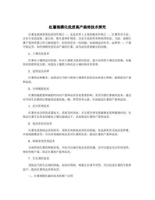红薯规模化优质高产栽培技术探究