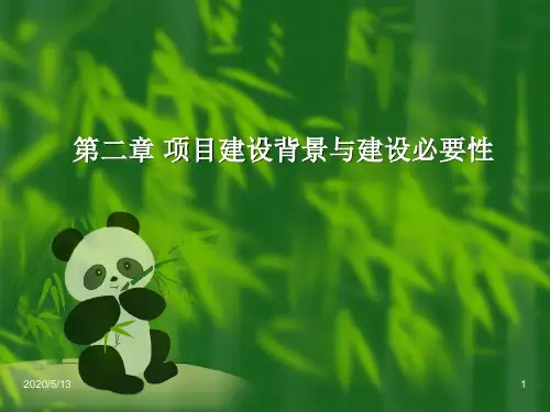 项目建设背景与建设必要性.ppt