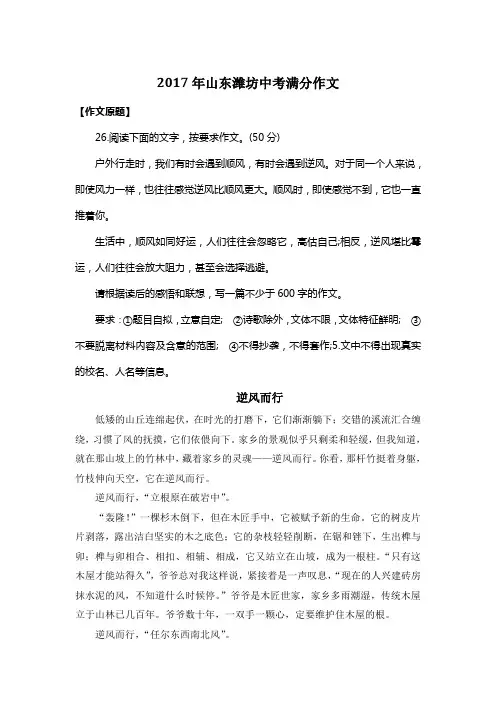 2017年山东潍坊中考满分作文《逆风而行》