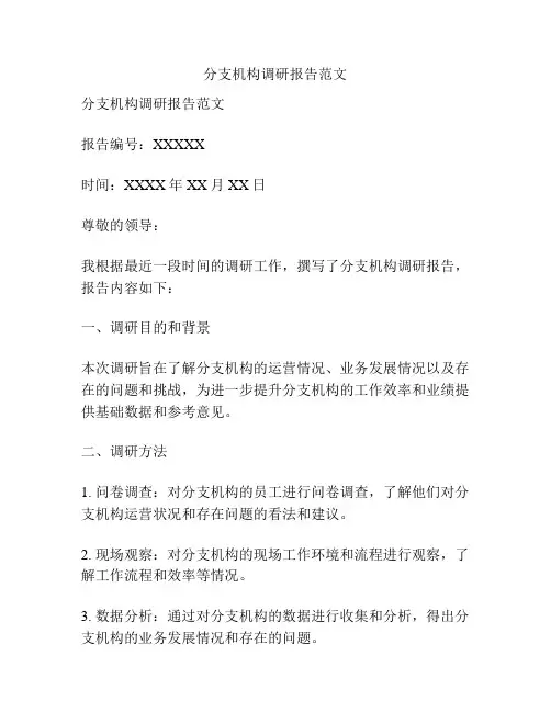 分支机构调研报告范文